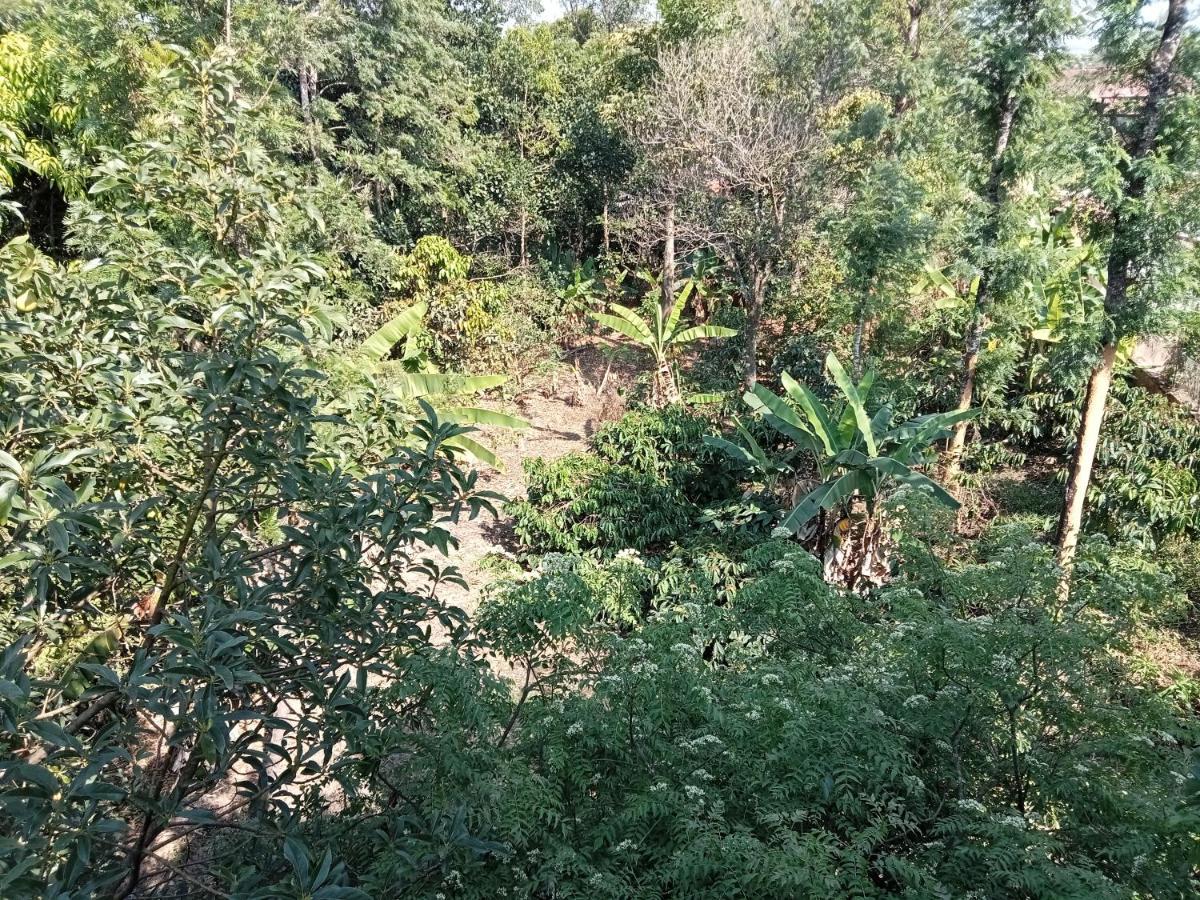 Krupa Homestay Madikeri Kültér fotó